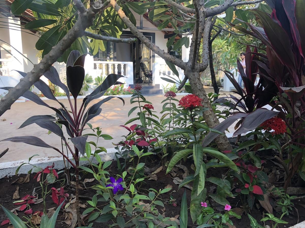 God'S Gift Morjim Hotel Екстериор снимка